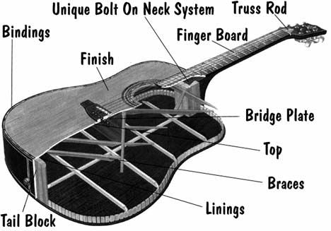 The structure of a Acoustic guitar