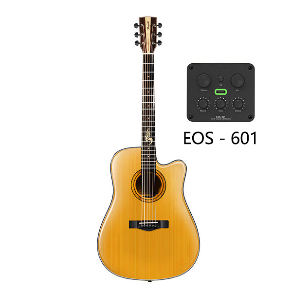Brook S25 DCGE EOS-601 Acoustic-electric guitar 41 inches