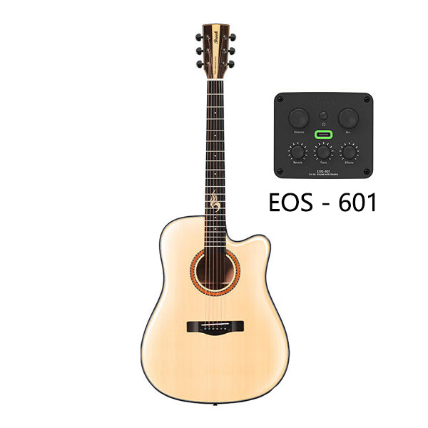 Brook S25 DCGE EOS-601 Acoustic-electric guitar 41 inches