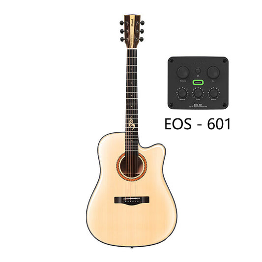 Brook S25 DCGE EOS-601 Acoustic-electric guitar 41 inches