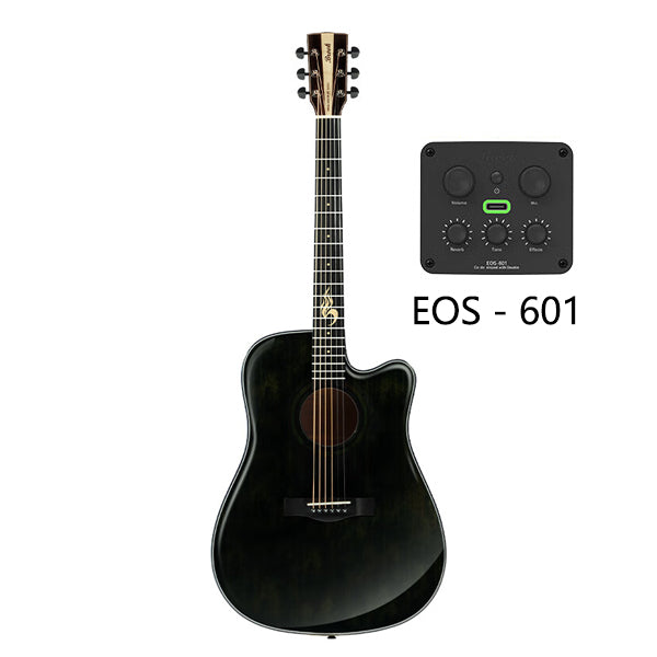 Brook S25 DCGE EOS-601 Acoustic-electric guitar 41 inches