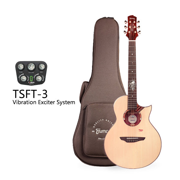 Trumon Dolphin 1955TPL-S Acoustic-ELectric guitar 38 inches